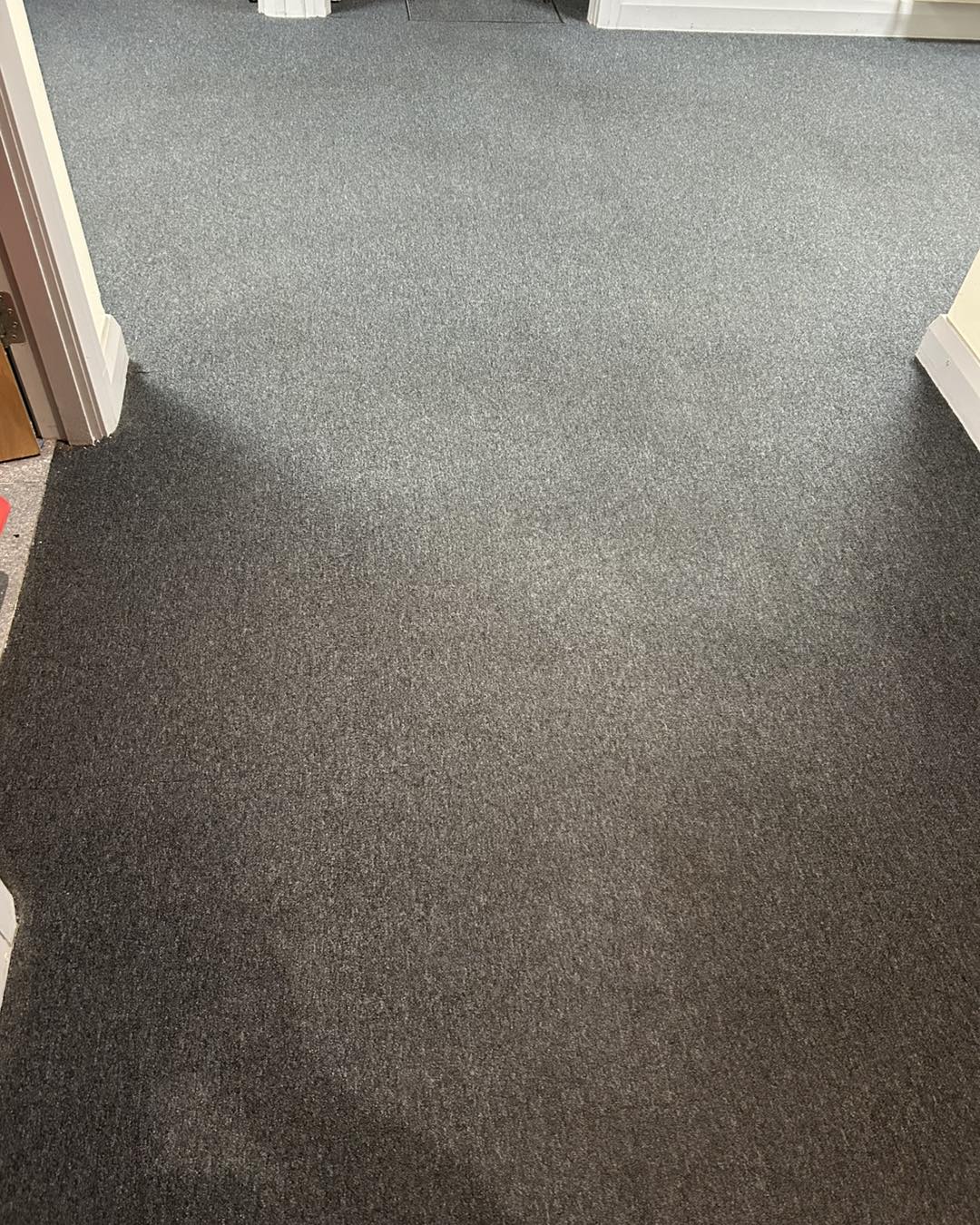 carpet that has been cleaned by Neil's Cleaning