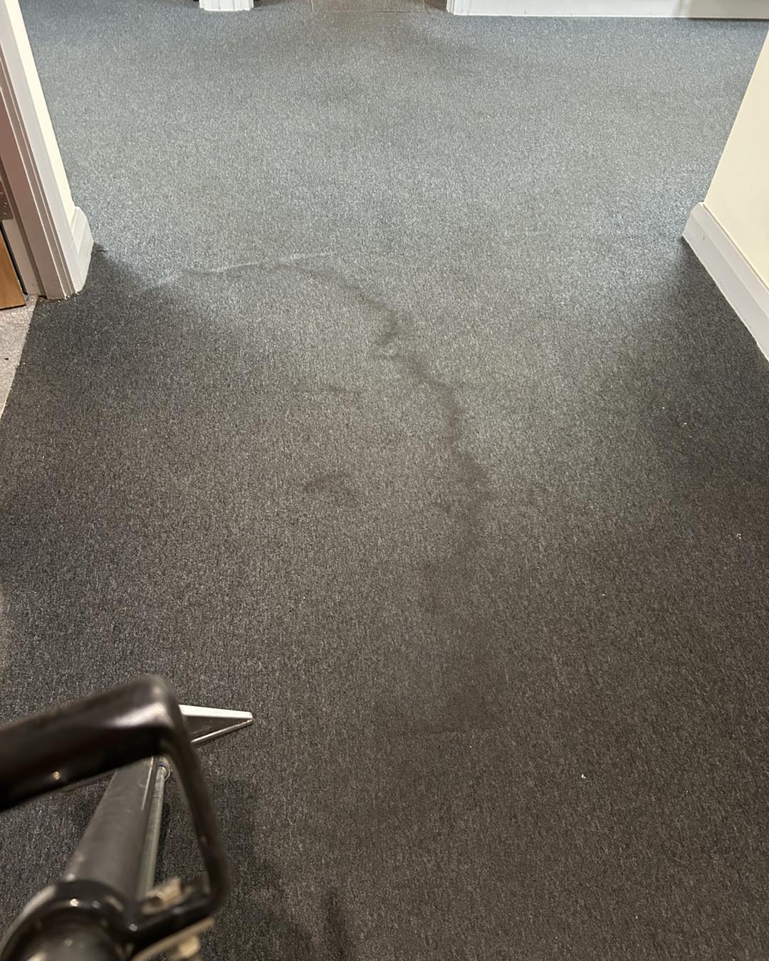 stained carpet requiring cleaning