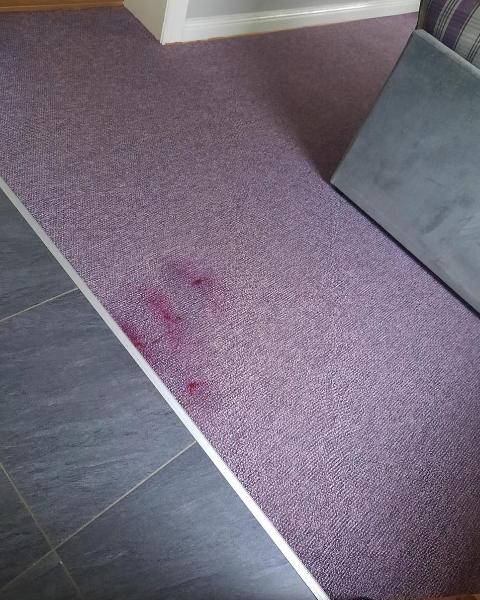 carpet stained before cleaning by Neil's Cleaning