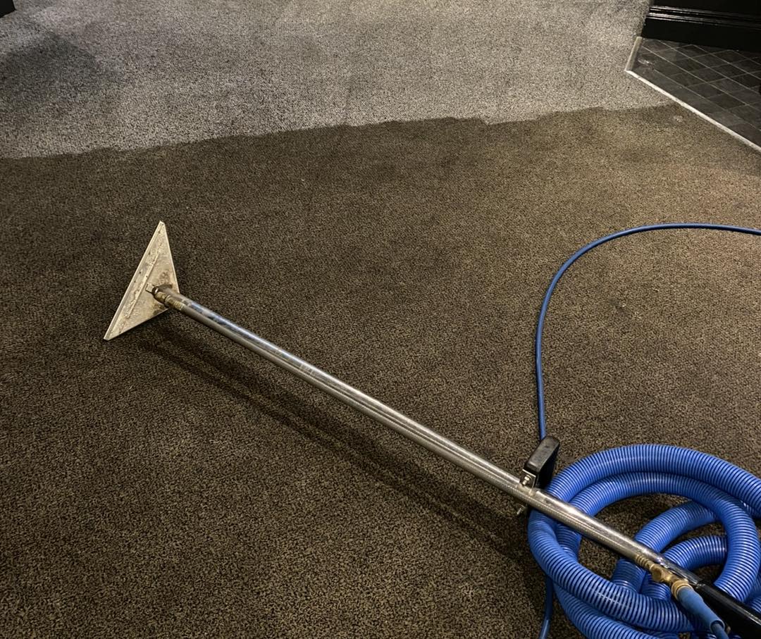 line across from freshly cleaned carpet to dirty carpet by Neil's Cleaning